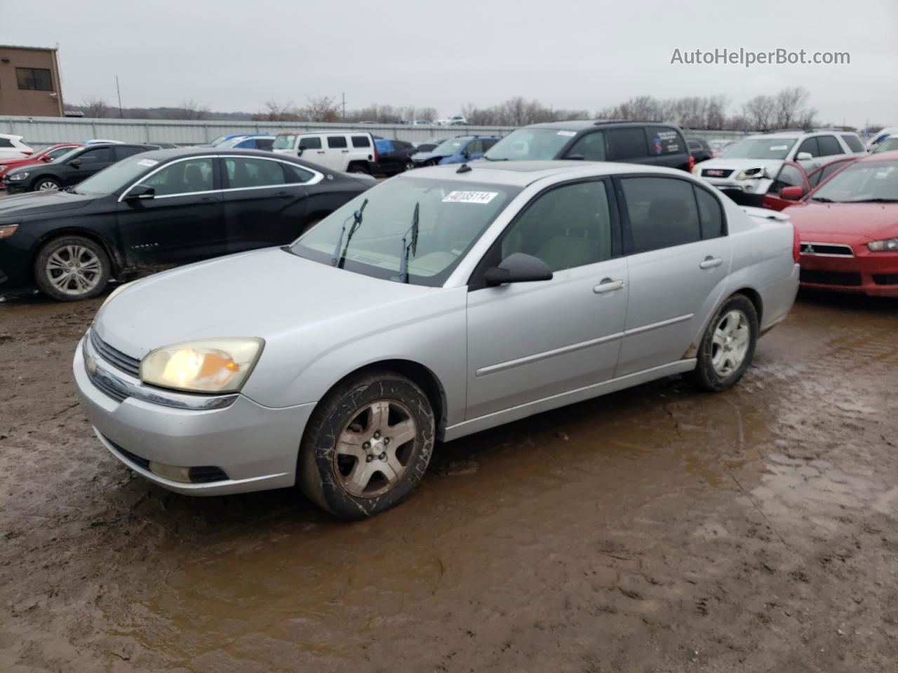 2004 Chevrolet Malibu Lt Silver vin: 1G1ZU54814F216718