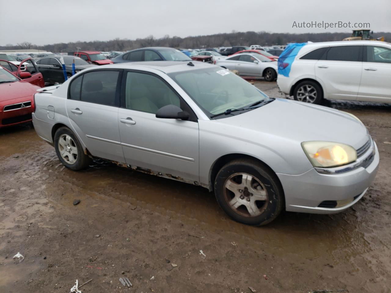 2004 Chevrolet Malibu Lt Silver vin: 1G1ZU54814F216718