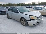 2004 Chevrolet Malibu Lt Silver vin: 1G1ZU54824F137123