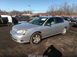 2004 Chevrolet Malibu Lt Silver vin: 1G1ZU54824F141284