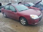 2004 Chevrolet Malibu Lt Red vin: 1G1ZU54844F219600