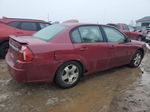 2004 Chevrolet Malibu Lt Red vin: 1G1ZU54844F219600