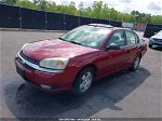 2004 Chevrolet Malibu Lt Бордовый vin: 1G1ZU54864F207013