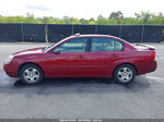 2004 Chevrolet Malibu Lt Бордовый vin: 1G1ZU54864F207013