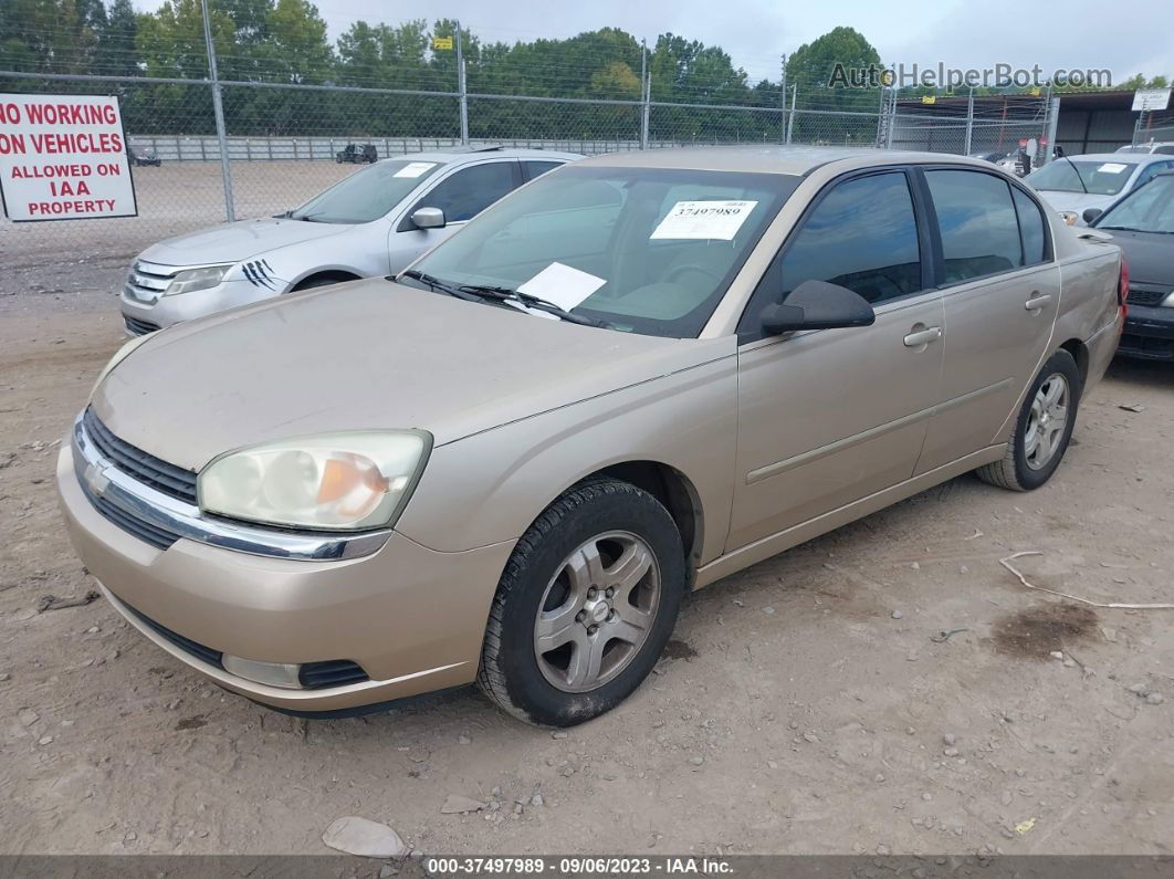 2004 Chevrolet Malibu   Золотой vin: 1G1ZU54A44F109470