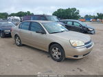 2004 Chevrolet Malibu   Gold vin: 1G1ZU54A44F109470