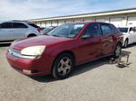 2004 Chevrolet Malibu Maxx Lt Red vin: 1G1ZU64864F189425