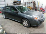 2004 Chevrolet Malibu Maxx Lt Gray vin: 1G1ZU64894F225933