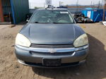 2004 Chevrolet Malibu Maxx Lt Gray vin: 1G1ZU648X4F243874