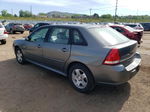 2004 Chevrolet Malibu Maxx Lt Gray vin: 1G1ZU648X4F243874