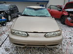 2001 Oldsmobile Alero Gl Gold vin: 1G3NL52T11C261669