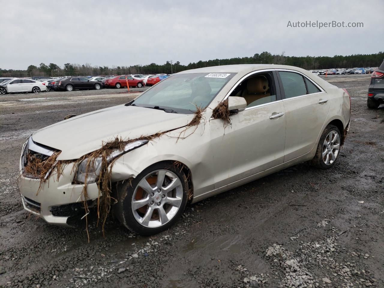 2013 Cadillac Ats Luxury Бежевый vin: 1G6AB5RA4D0133201