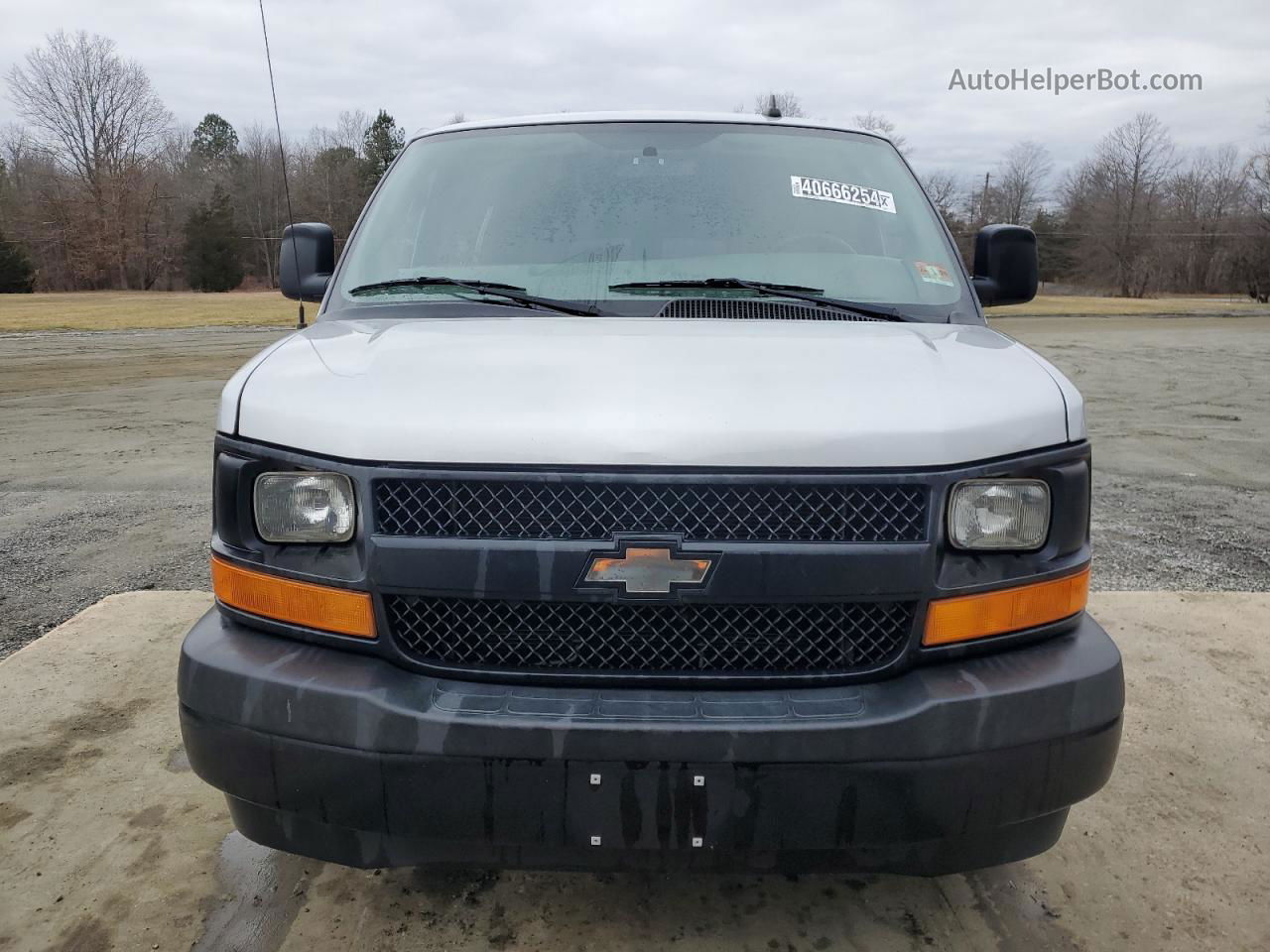 2017 Chevrolet Express G3500 Ls Silver vin: 1GAZGNFGXH1125784