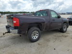 2008 Chevrolet Silverado C1500 Purple vin: 1GCEC14C38Z136959