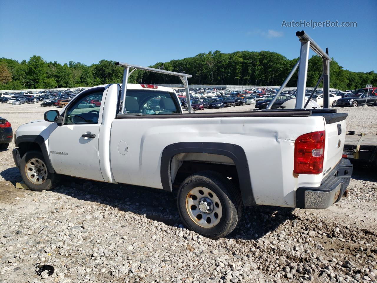 2008 Chevrolet Silverado C1500 White vin: 1GCEC14X08Z175317