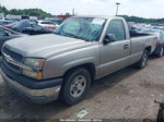 2003 Chevrolet Silverado 1500 Work Truck Gray vin: 1GCEC14X63Z236727