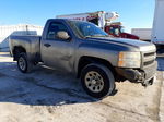 2008 Chevrolet Silverado C1500 Gray vin: 1GCEC14XX8Z100933