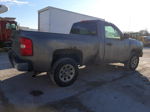 2008 Chevrolet Silverado C1500 Gray vin: 1GCEC14XX8Z100933