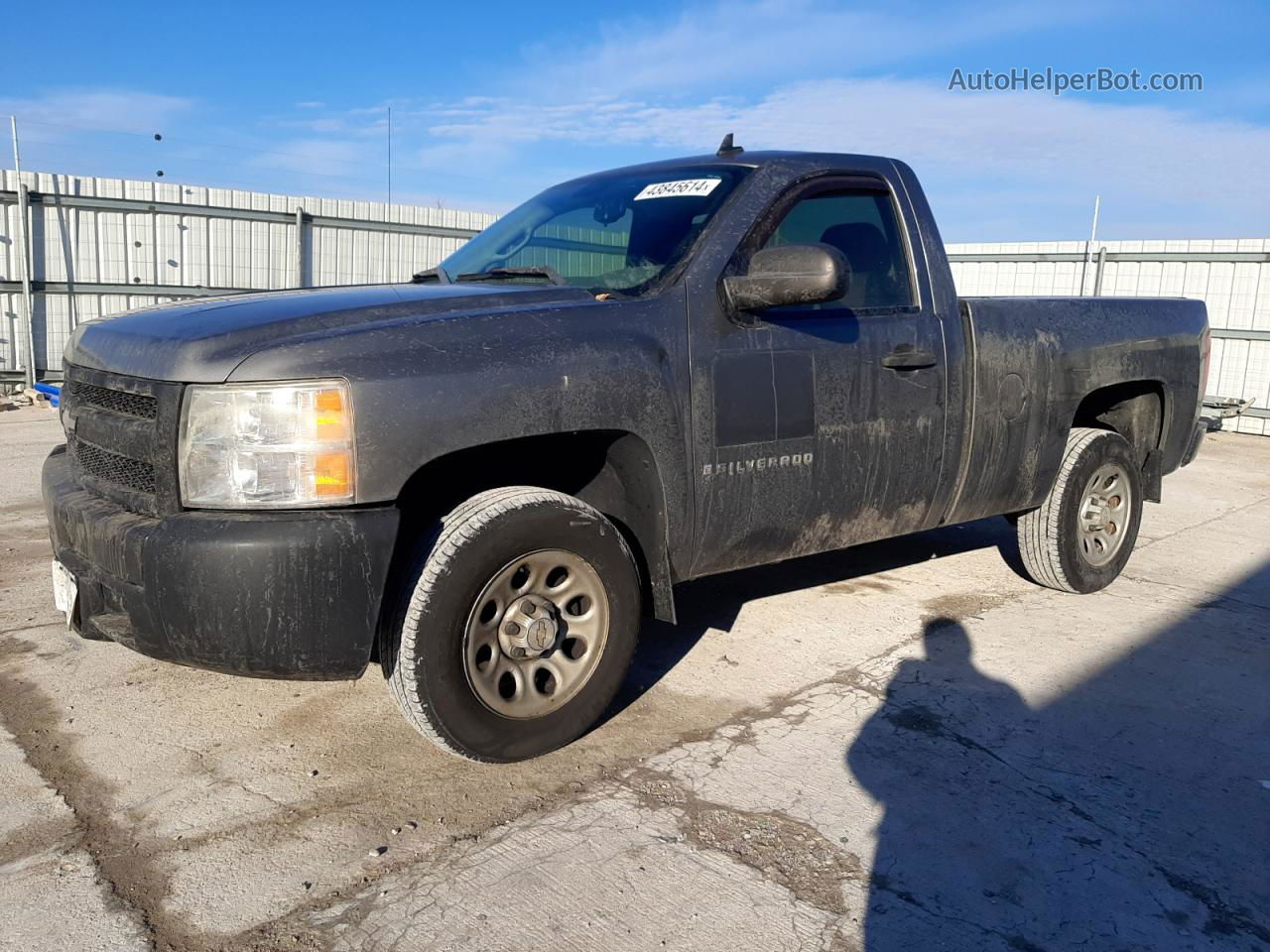 2008 Chevrolet Silverado C1500 Gray vin: 1GCEC14XX8Z100933