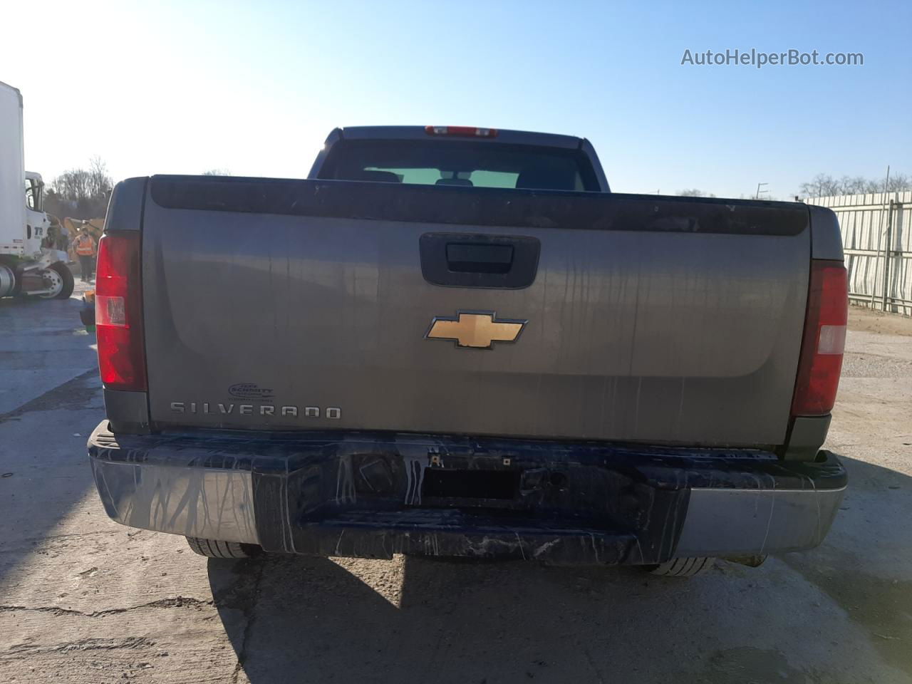 2008 Chevrolet Silverado C1500 Gray vin: 1GCEC14XX8Z100933