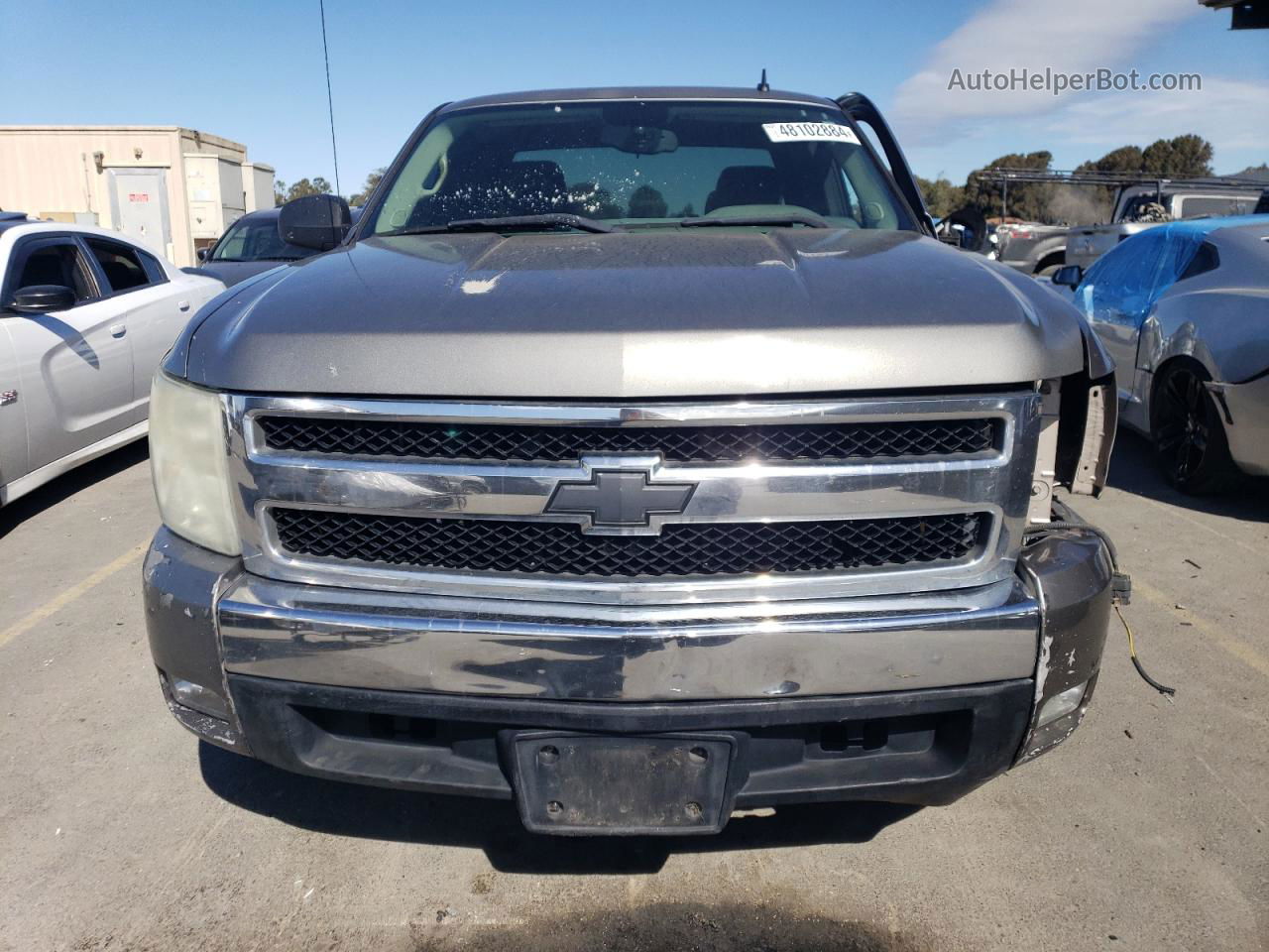 2008 Chevrolet Silverado C1500 Brown vin: 1GCEC19C68Z330832