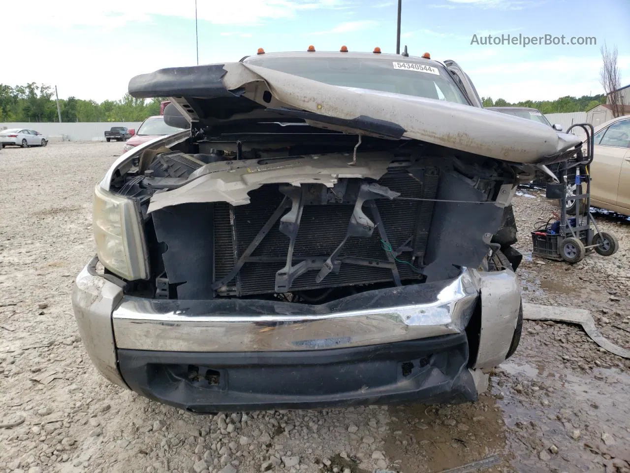 2008 Chevrolet Silverado C1500 Cream vin: 1GCEC19CX8Z258095