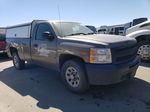 2012 Chevrolet Silverado C1500 Gray vin: 1GCNCPEX1CZ311674