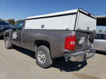 2012 Chevrolet Silverado C1500 Gray vin: 1GCNCPEX1CZ311674