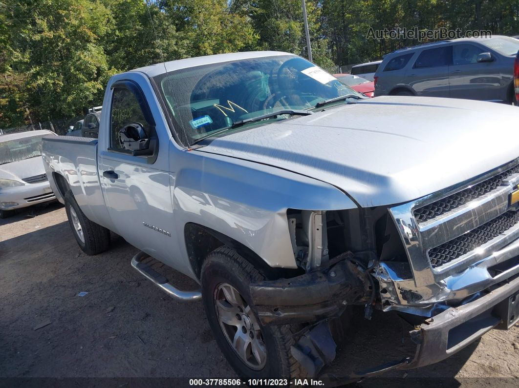 2013 Chevrolet Silverado 1500 Work Truck Silver vin: 1GCNCPEX4DZ264433