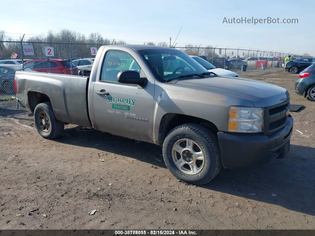 2012 Chevrolet Silverado 1500 Work Truck Серый vin: 1GCNCPEX5CZ169524