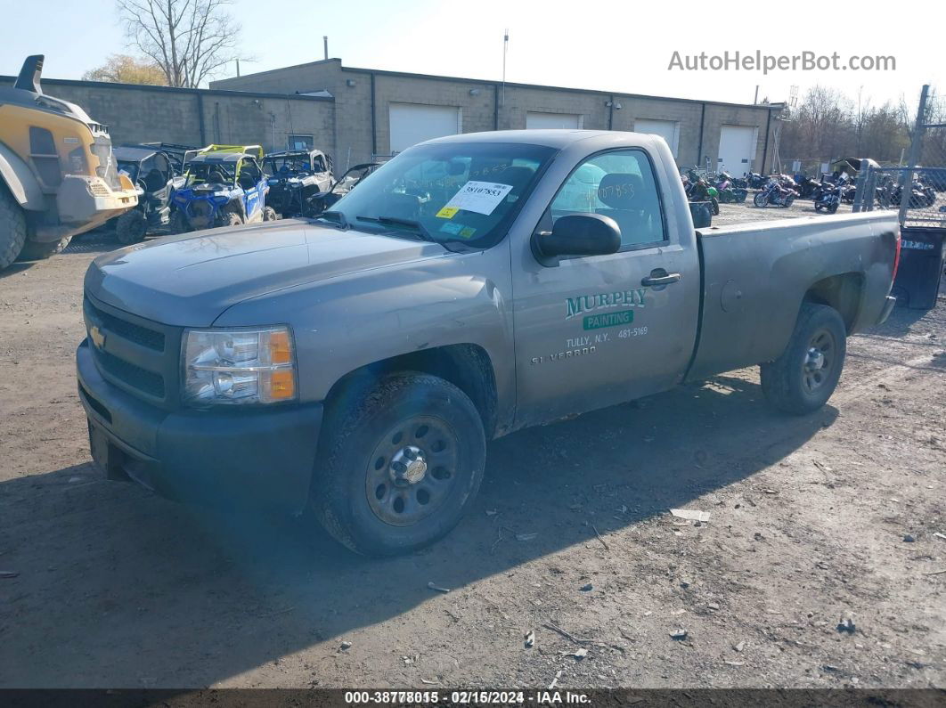 2012 Chevrolet Silverado 1500 Work Truck Gray vin: 1GCNCPEX5CZ169524