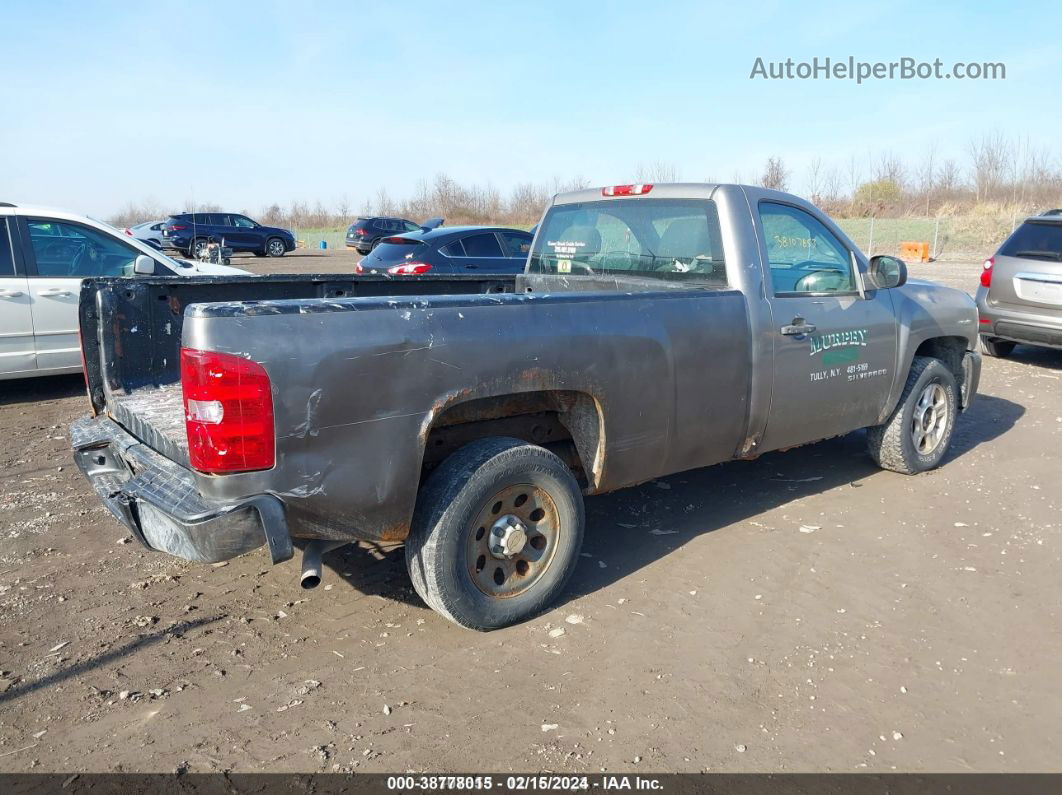 2012 Chevrolet Silverado 1500 Work Truck Серый vin: 1GCNCPEX5CZ169524