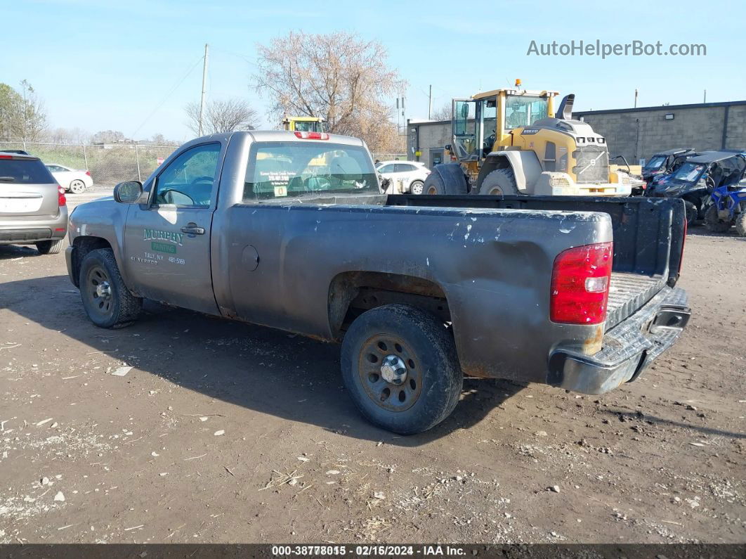 2012 Chevrolet Silverado 1500 Work Truck Серый vin: 1GCNCPEX5CZ169524