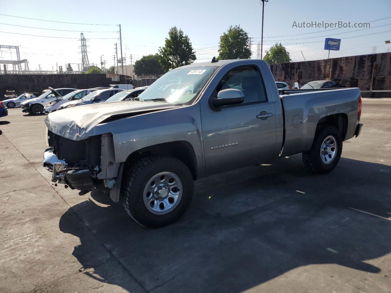 2013 Chevrolet Silverado C1500 Gray vin: 1GCNCPEX5DZ163367