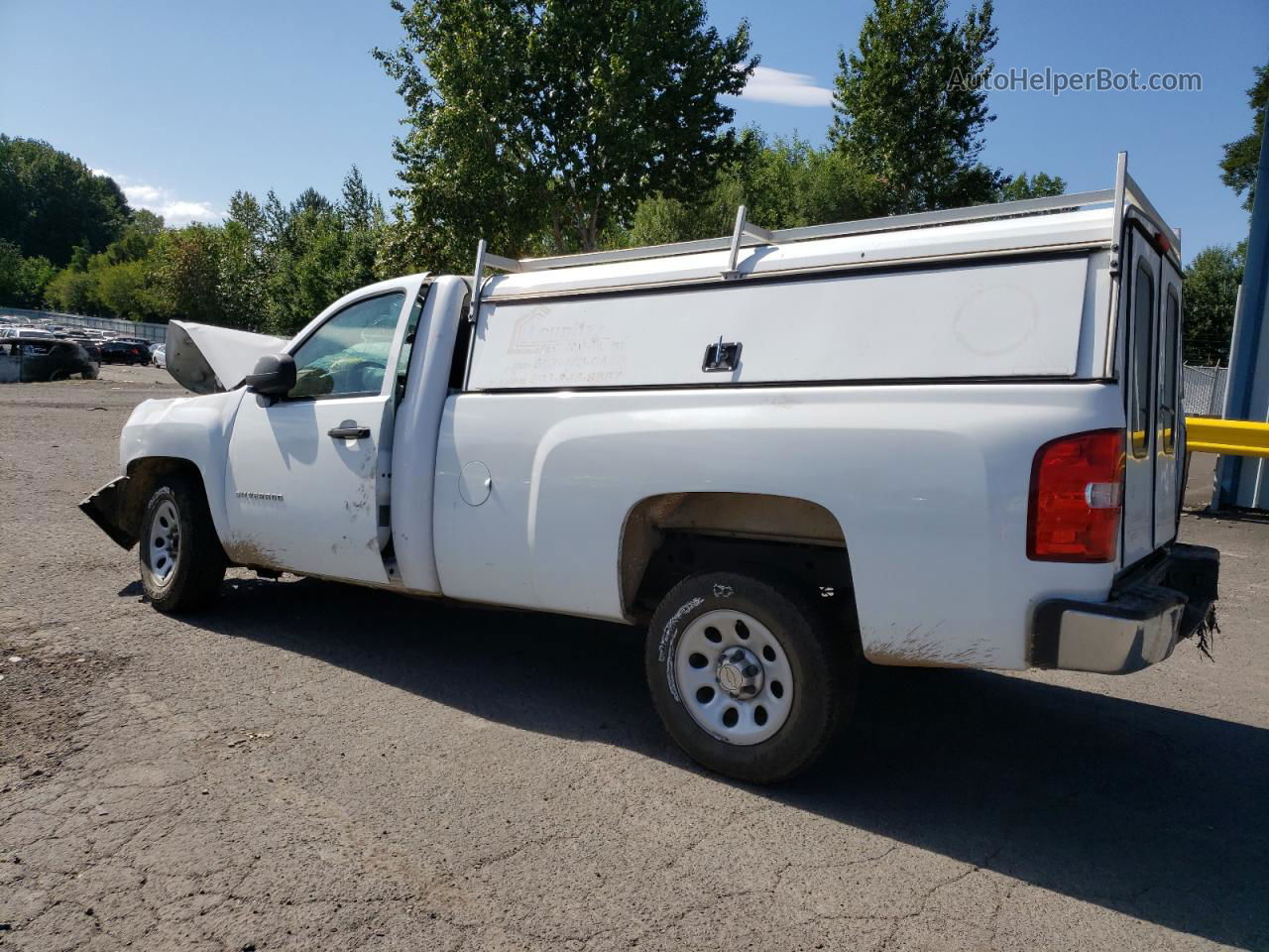 2013 Chevrolet Silverado C1500 Белый vin: 1GCNCPEX5DZ284027