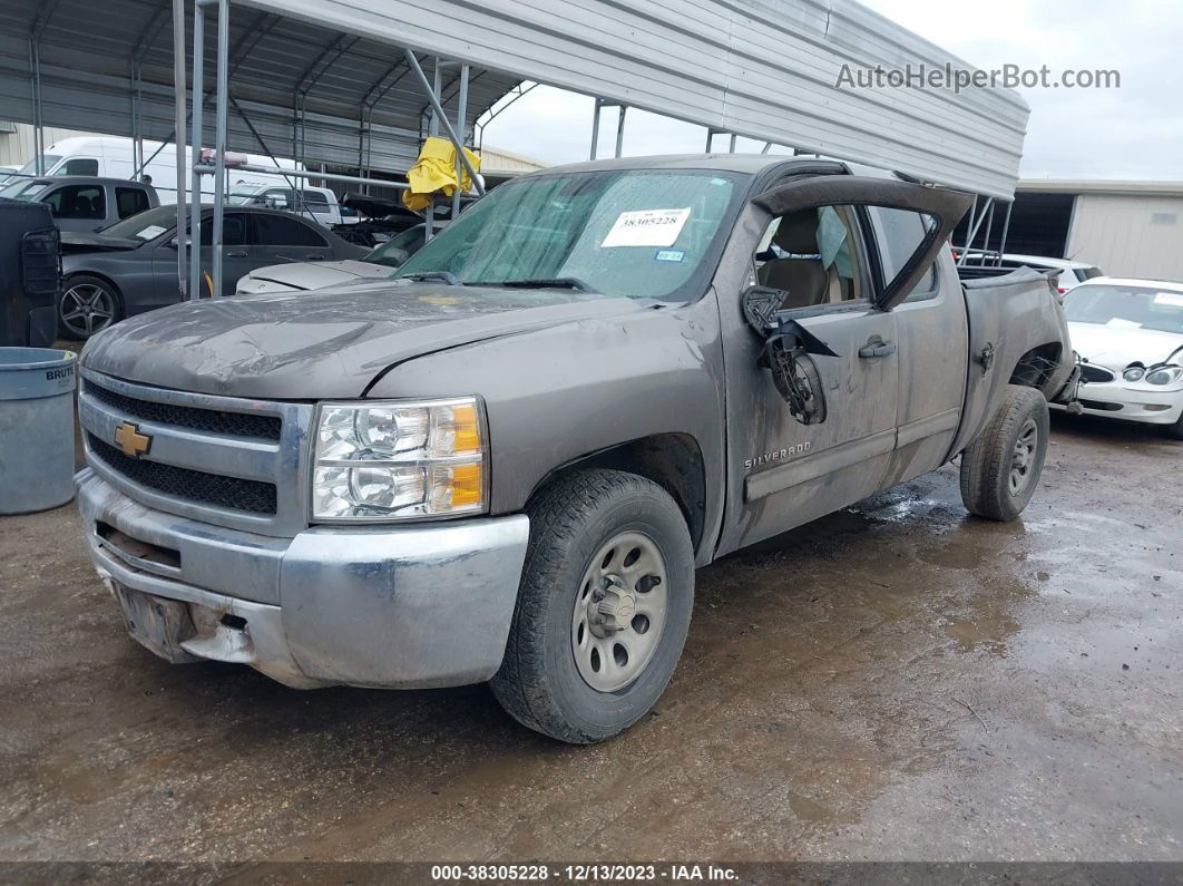 2012 Chevrolet Silverado 1500 Lt Коричневый vin: 1GCRCSE09CZ185152