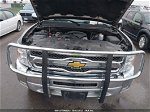 2012 Chevrolet Silverado 1500 Lt Желто-коричневый vin: 1GCRKSE7XCZ304827