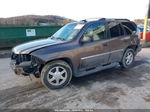 2008 Gmc Envoy Sle Brown vin: 1GKDT13S382110704