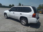 2005 Gmc Envoy Sle Белый vin: 1GKDT13S452107032