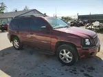 2005 Gmc Envoy  Темно-бордовый vin: 1GKDT13S652289672