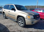 2007 Gmc Envoy Sle Gold vin: 1GKDT13S772301766