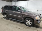 2008 Gmc Envoy  Brown vin: 1GKDT13S882163558