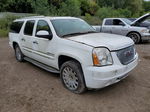 2007 Gmc Yukon Xl Denali White vin: 1GKFK66897J378556