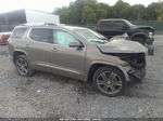 2019 Gmc Acadia Denali Gold vin: 1GKKNXLS1KZ233517