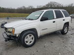 2002 Chevrolet Trailblazer  White vin: 1GNDS13S022366473