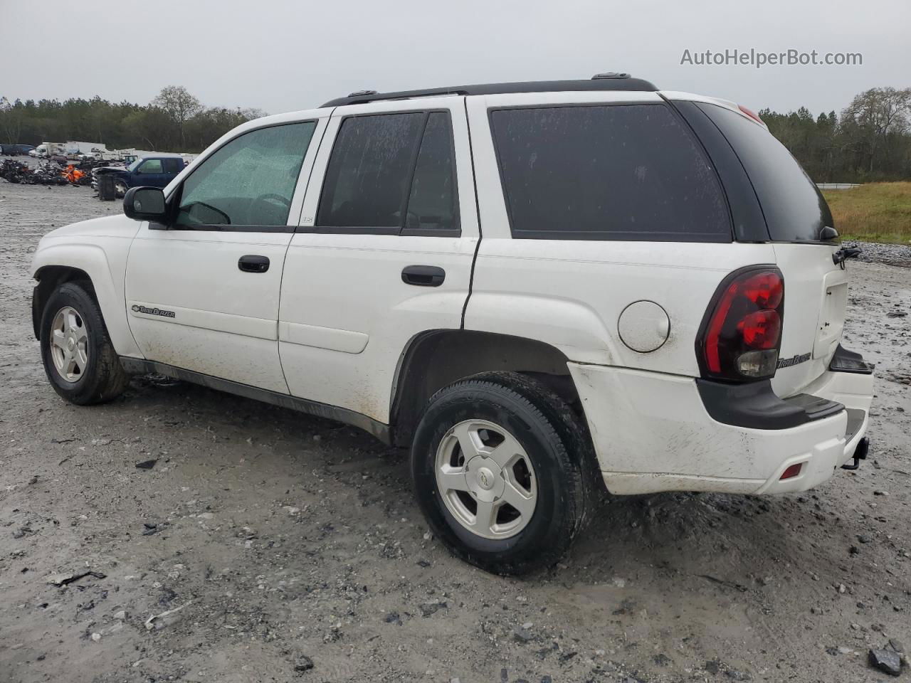 2002 Chevrolet Trailblazer  White vin: 1GNDS13S022366473