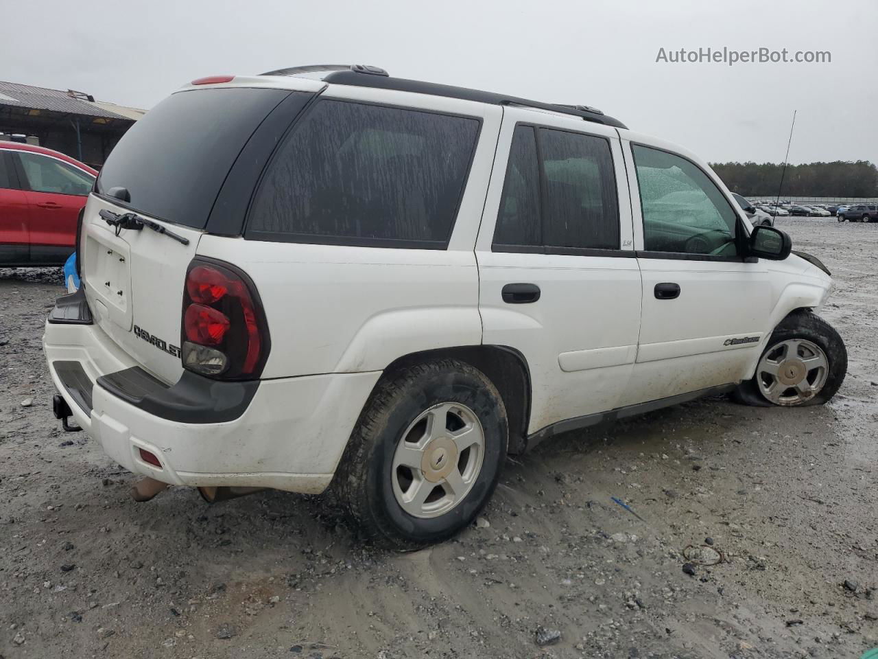 2002 Chevrolet Trailblazer  Белый vin: 1GNDS13S022366473