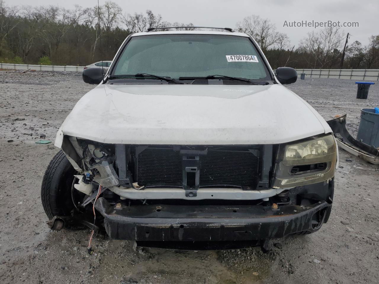 2002 Chevrolet Trailblazer  White vin: 1GNDS13S022366473