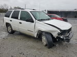 2002 Chevrolet Trailblazer  White vin: 1GNDS13S022366473