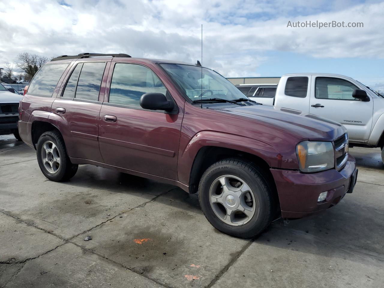 2006 Chevrolet Trailblazer Ls Бордовый vin: 1GNDS13S062272700